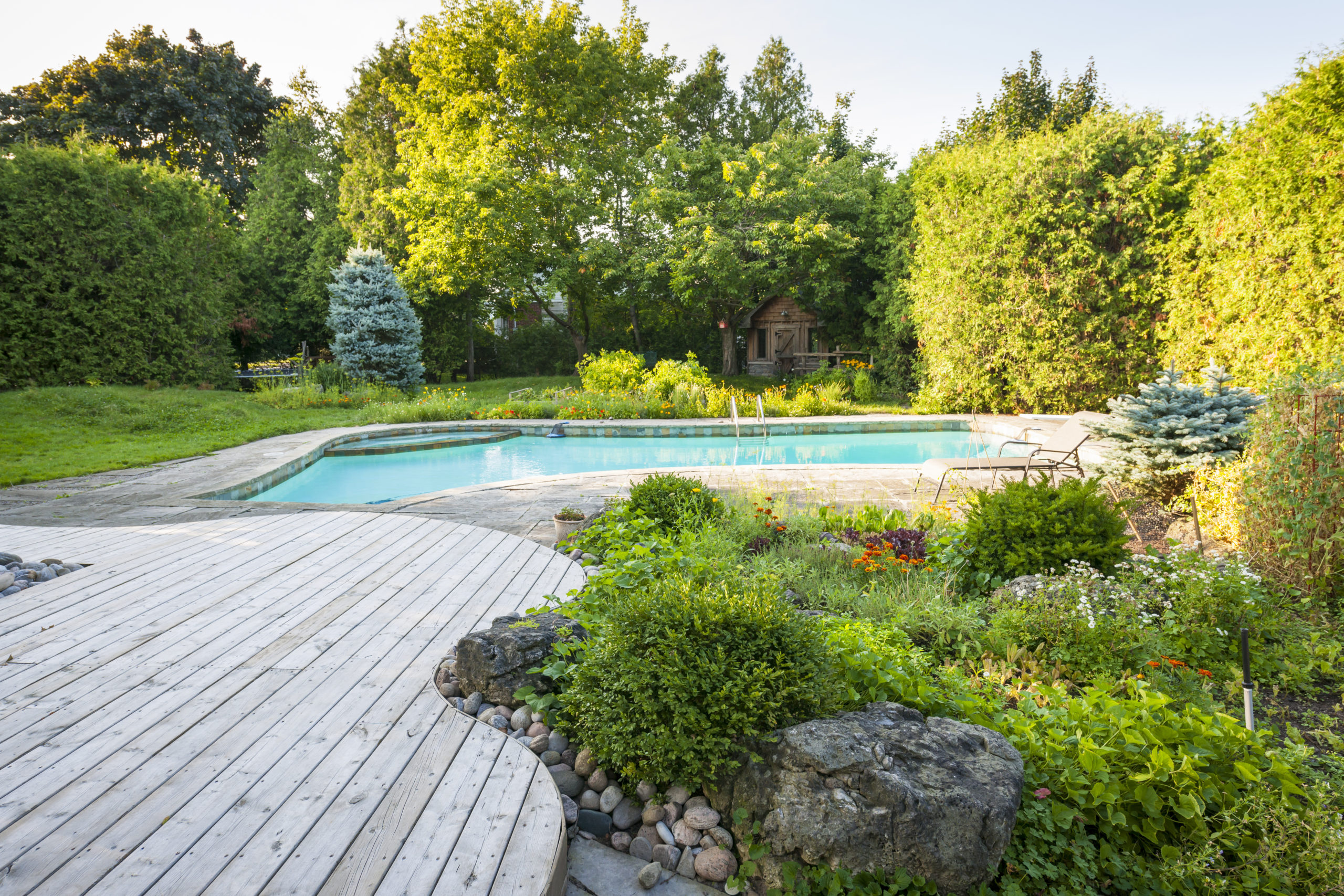 Garden and swimming pool in backyard