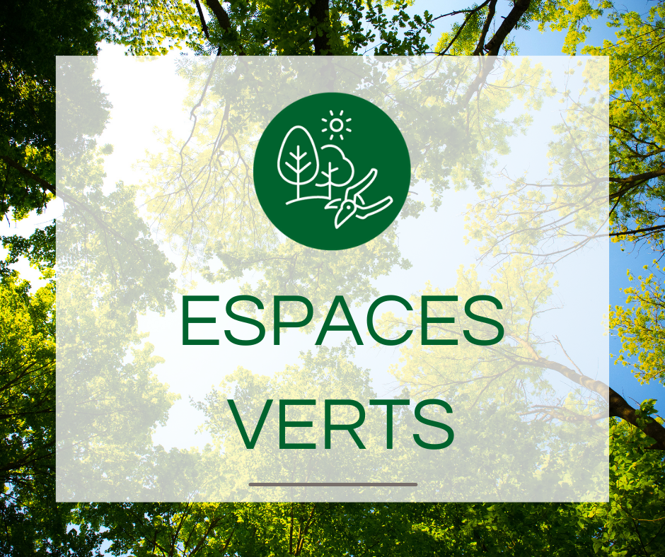 PPV site acceuil (3)